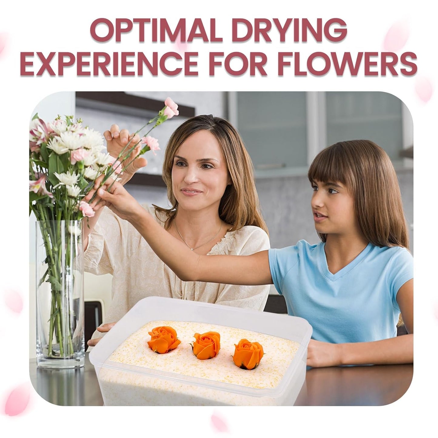 Wisesorb Silica Gel for Flower Drying – 900 g Fine Crystals, Colour Indicator, Reusable